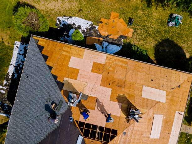 Best Roof Gutter Cleaning  in Ludington, MI