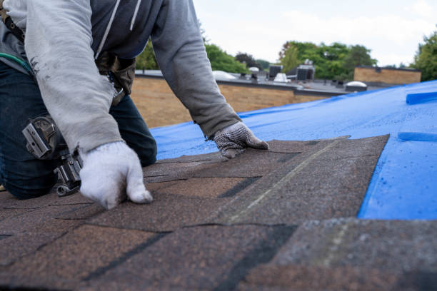 Best Roof Waterproofing Services  in Ludington, MI