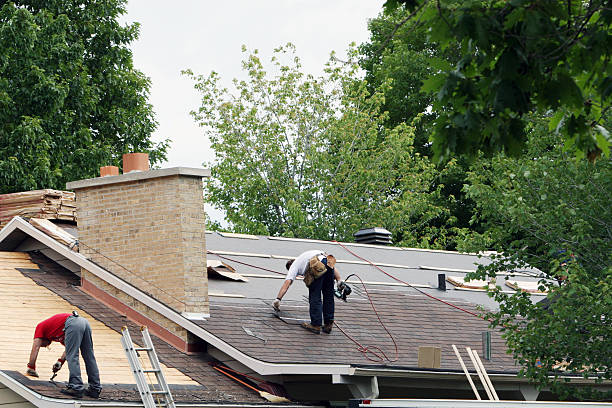 Best New Roof Installation  in Ludington, MI
