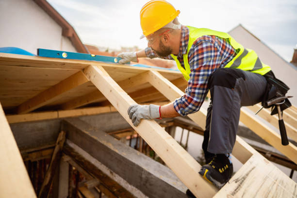 Best Roof Repair Services  in Ludington, MI