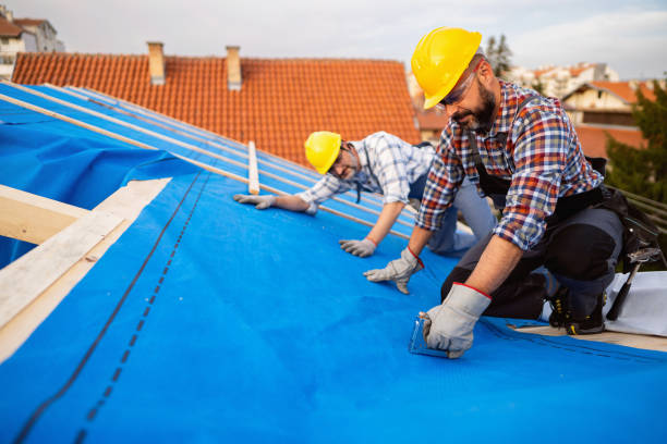 Best Slate Roofing Contractor  in Ludington, MI