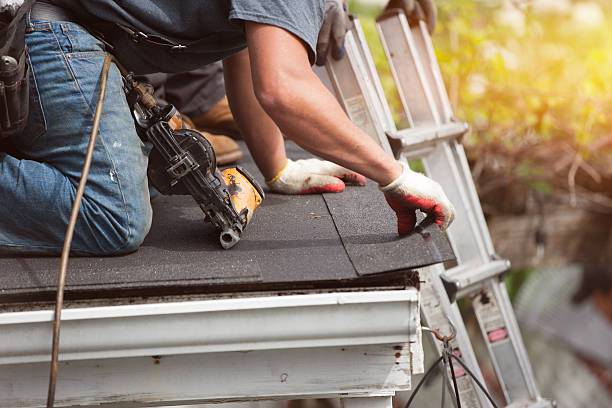 Best Roof Maintenance Services  in Ludington, MI