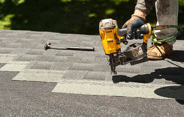 Best Metal Roofing Contractor  in Ludington, MI