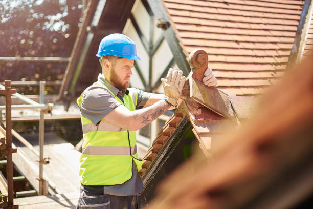 Best Roof Restoration Services  in Ludington, MI